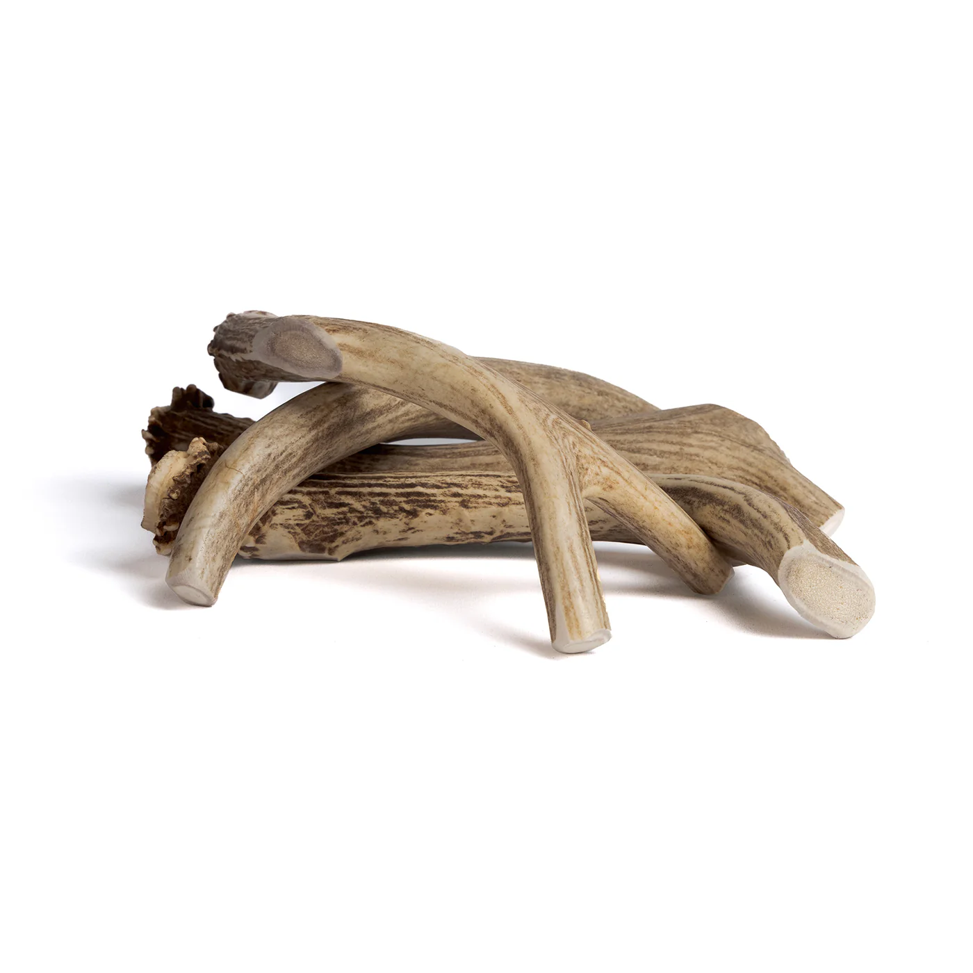 Deer Antler - Image 11