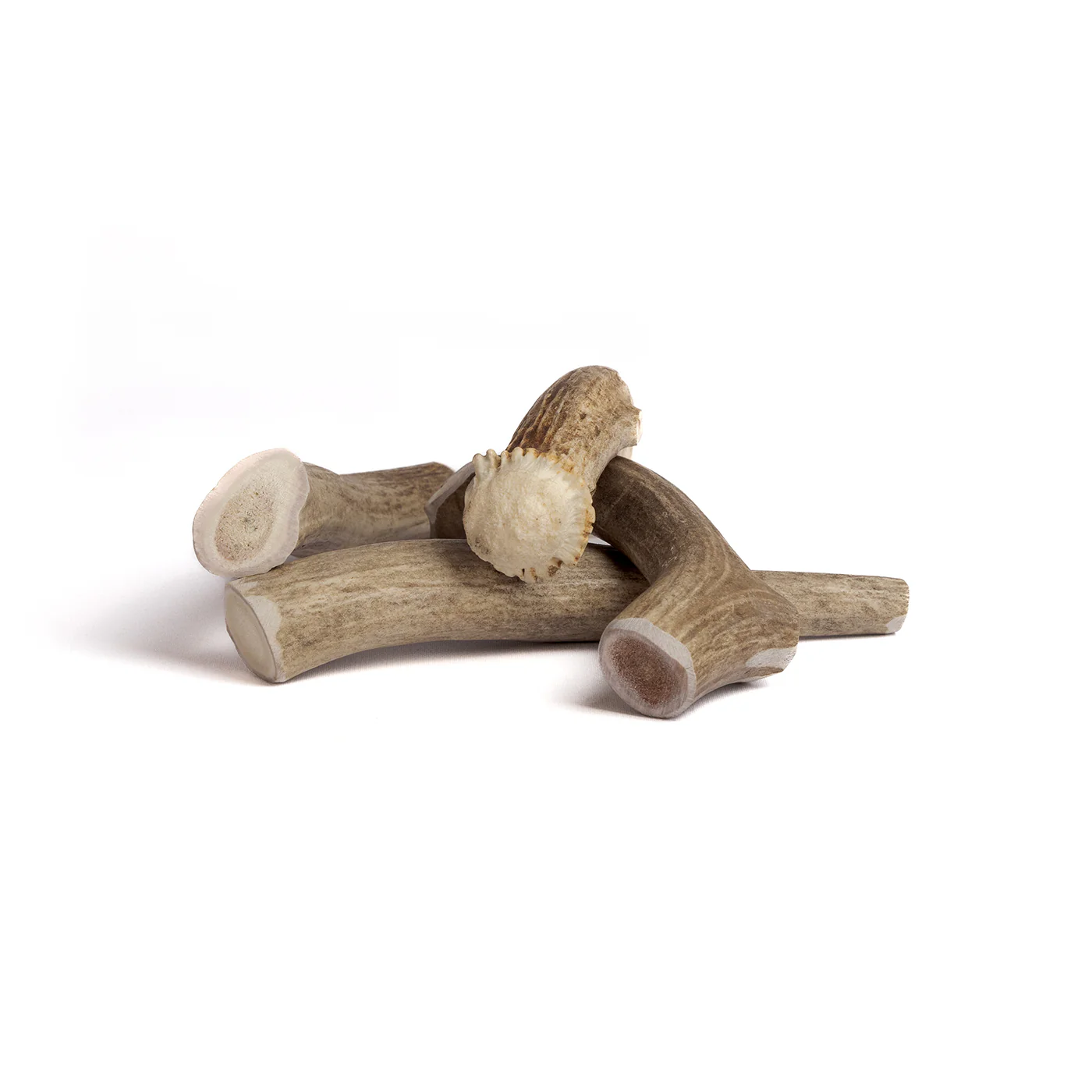 Deer Antler - Image 14