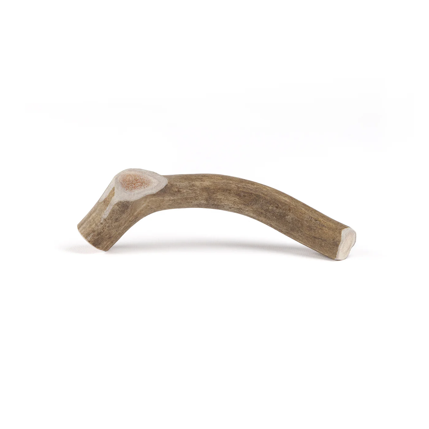 Deer Antler - Image 15