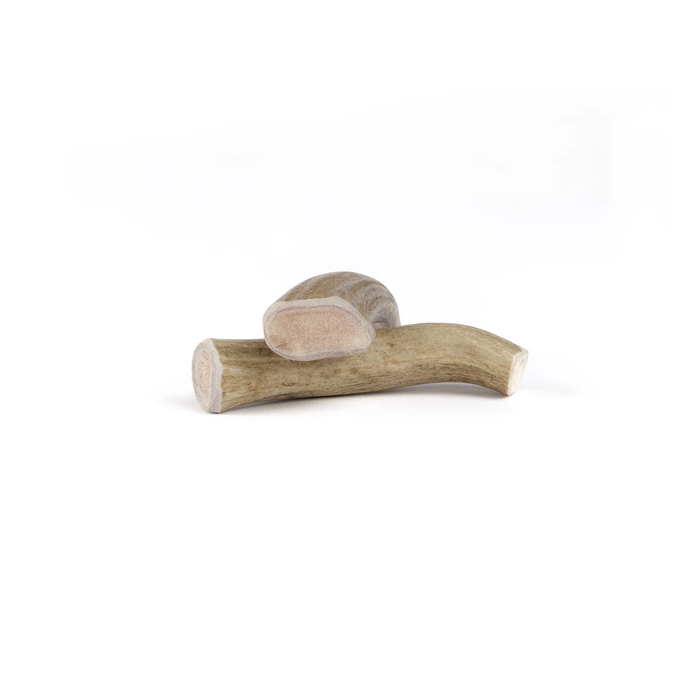 Deer Antler - Image 16