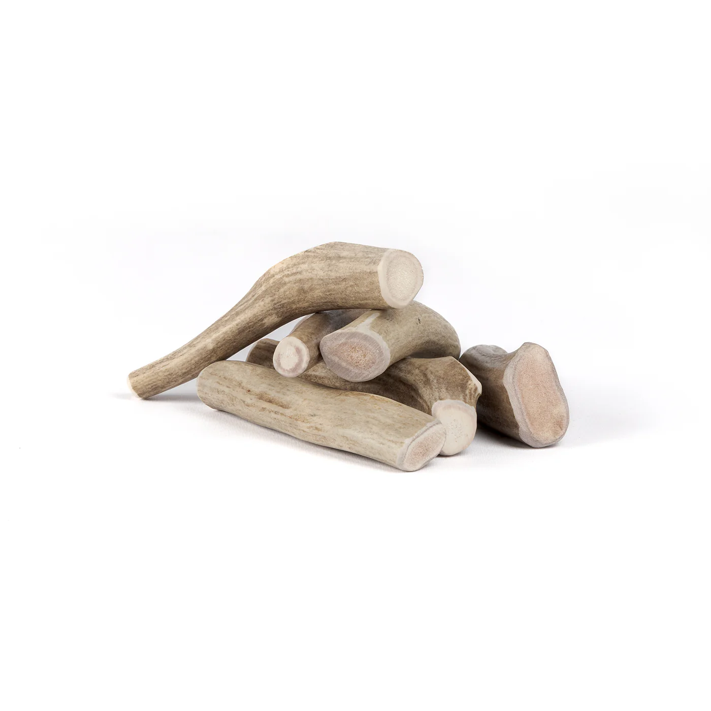 Deer Antler - Image 17