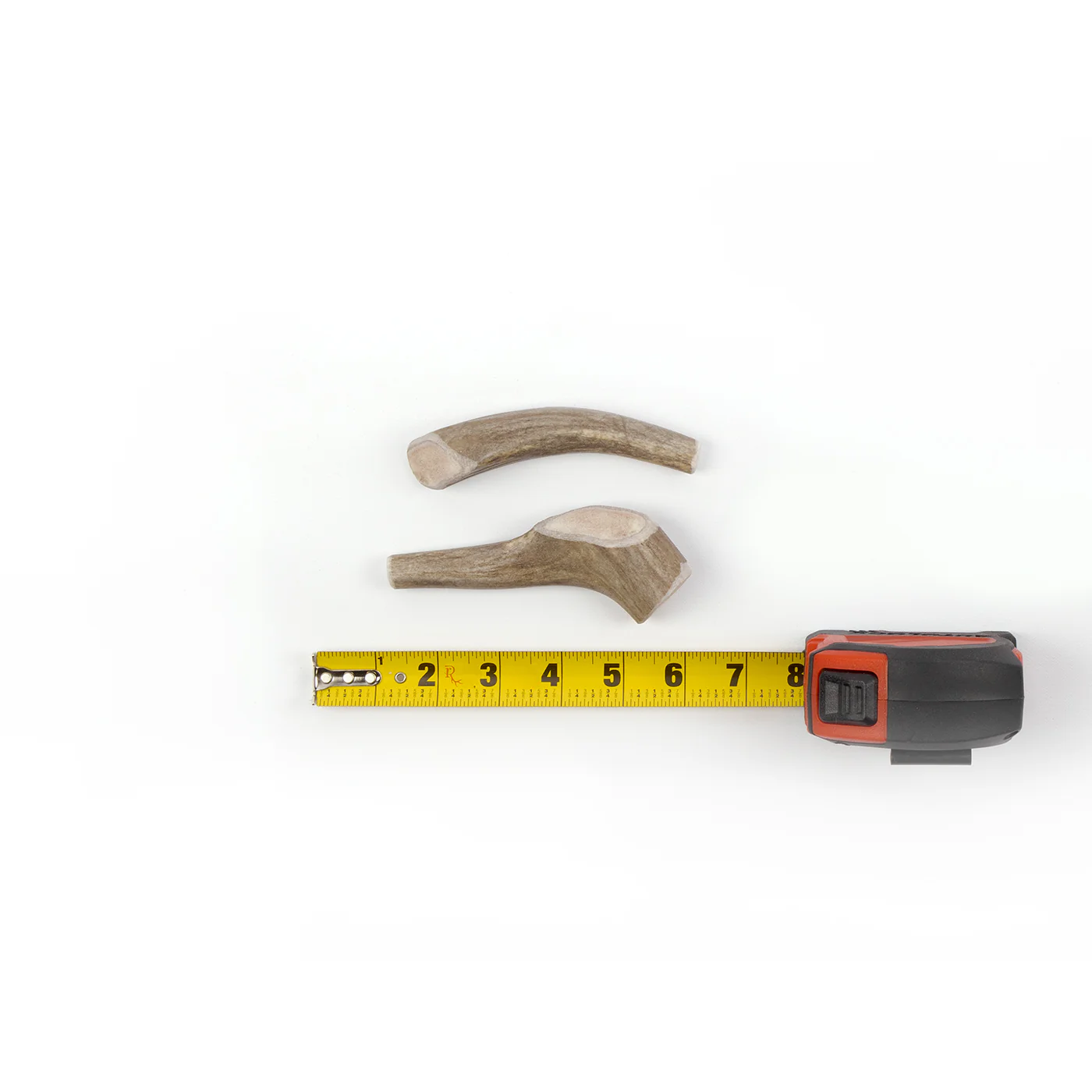 Deer Antler - Image 18