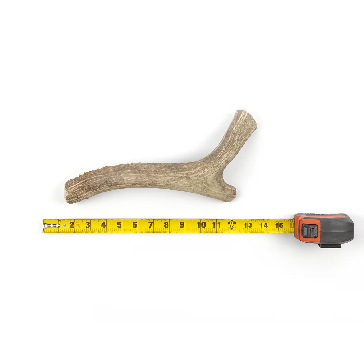 Deer Antler - Image 3
