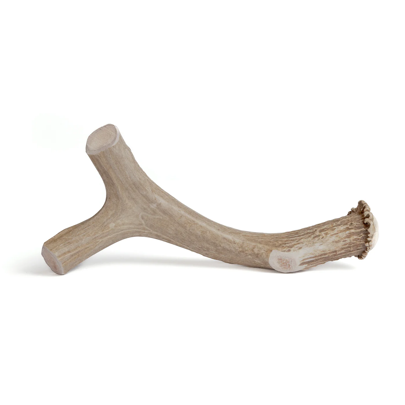 Deer Antler - Image 4