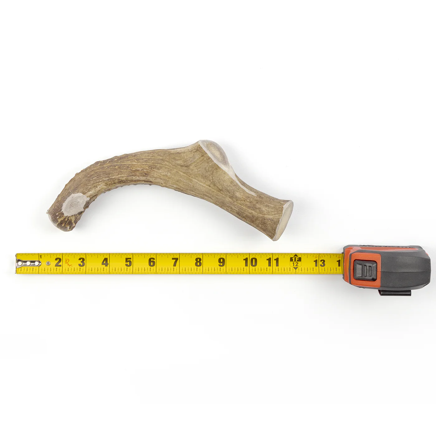 Deer Antler - Image 5