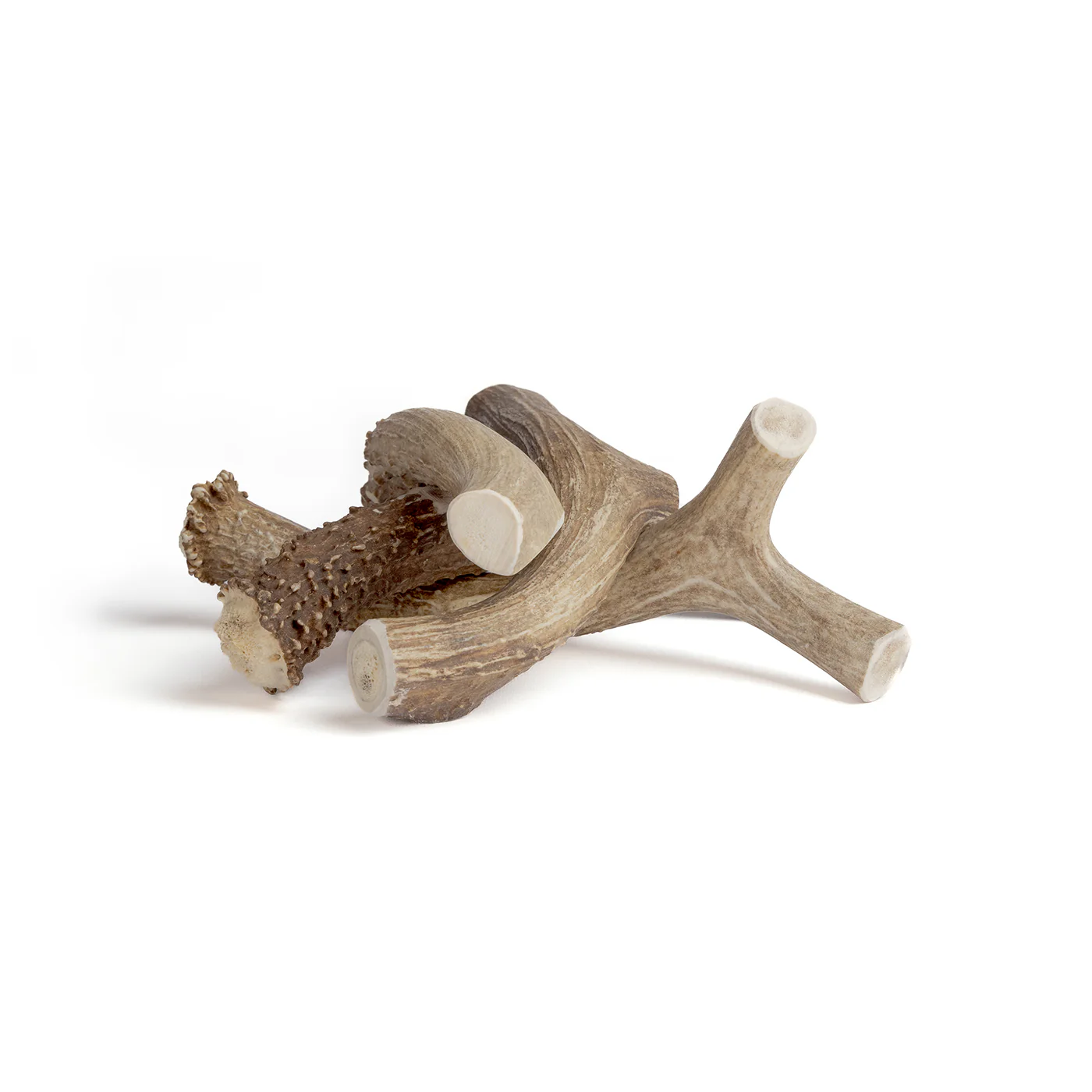 Deer Antler - Image 6
