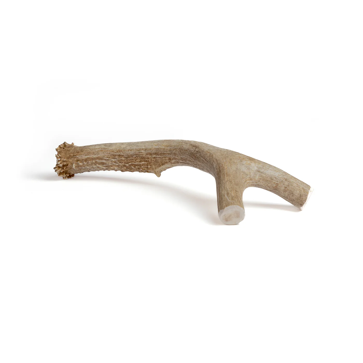 Deer Antler - Image 7