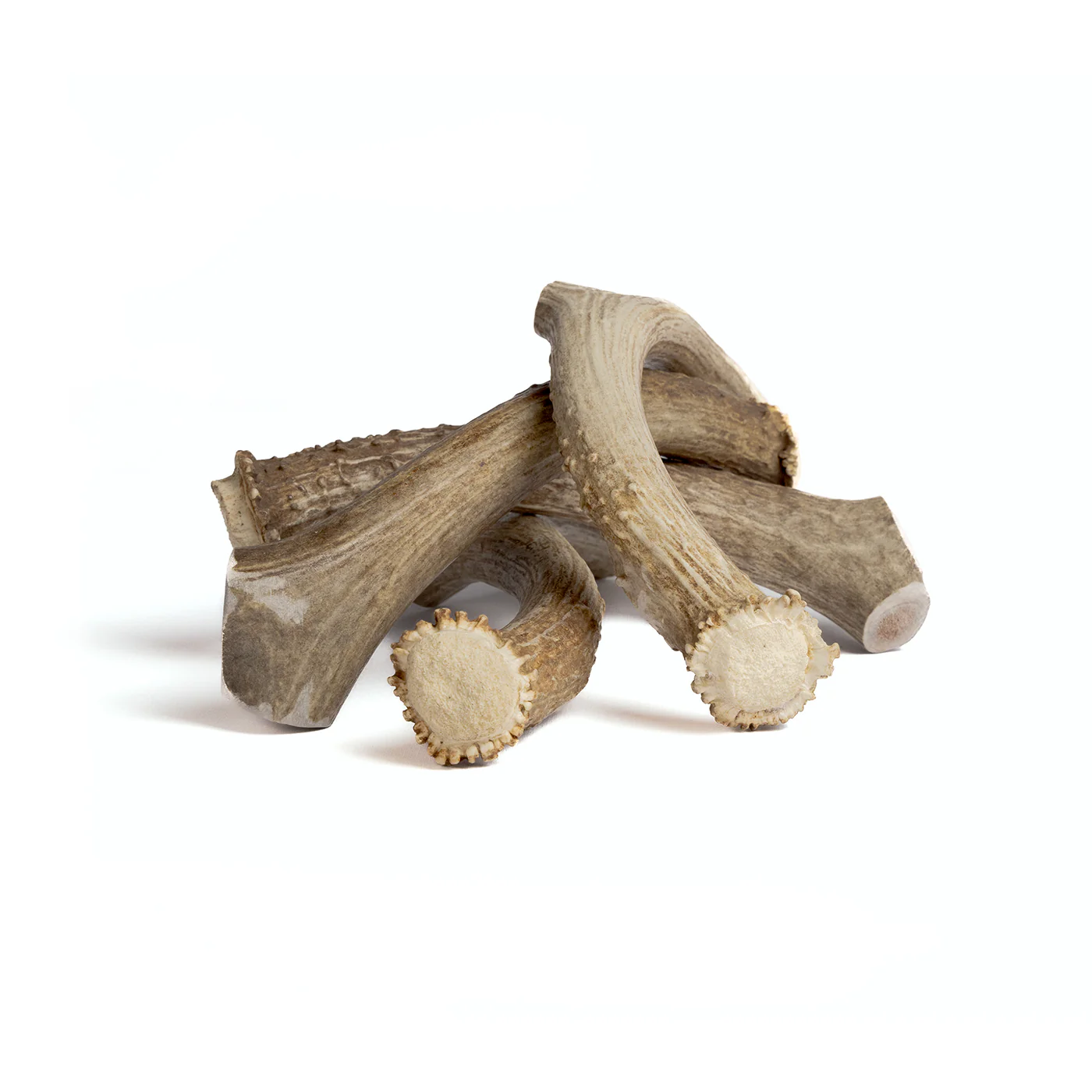 Deer Antler - Image 9