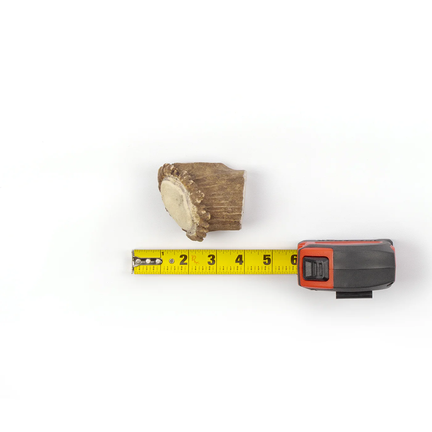 Medallions - Image 3