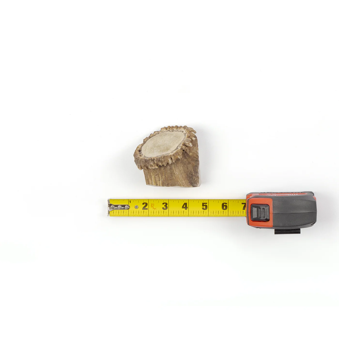 Medallions - Image 9