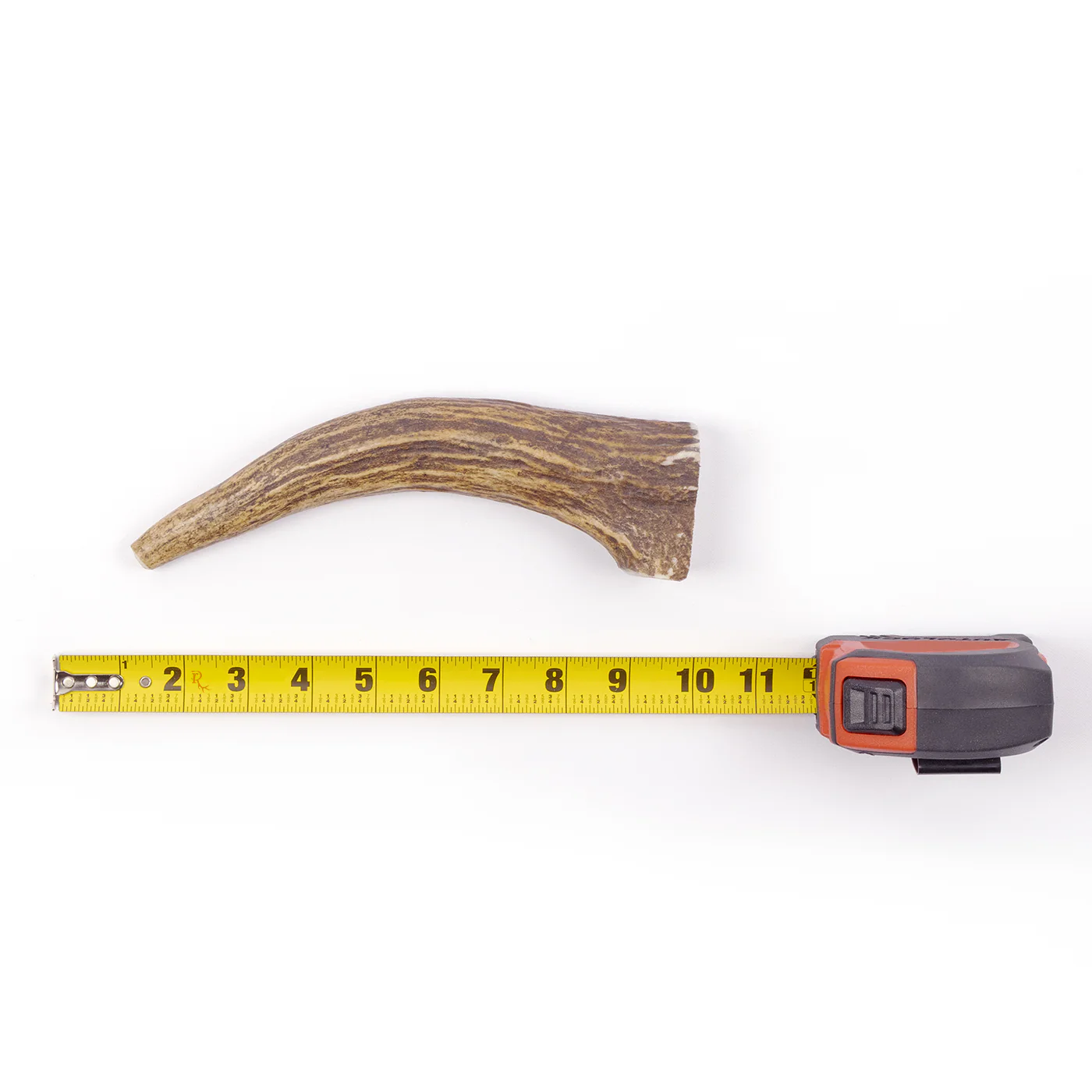 Moose Tine - Image 11