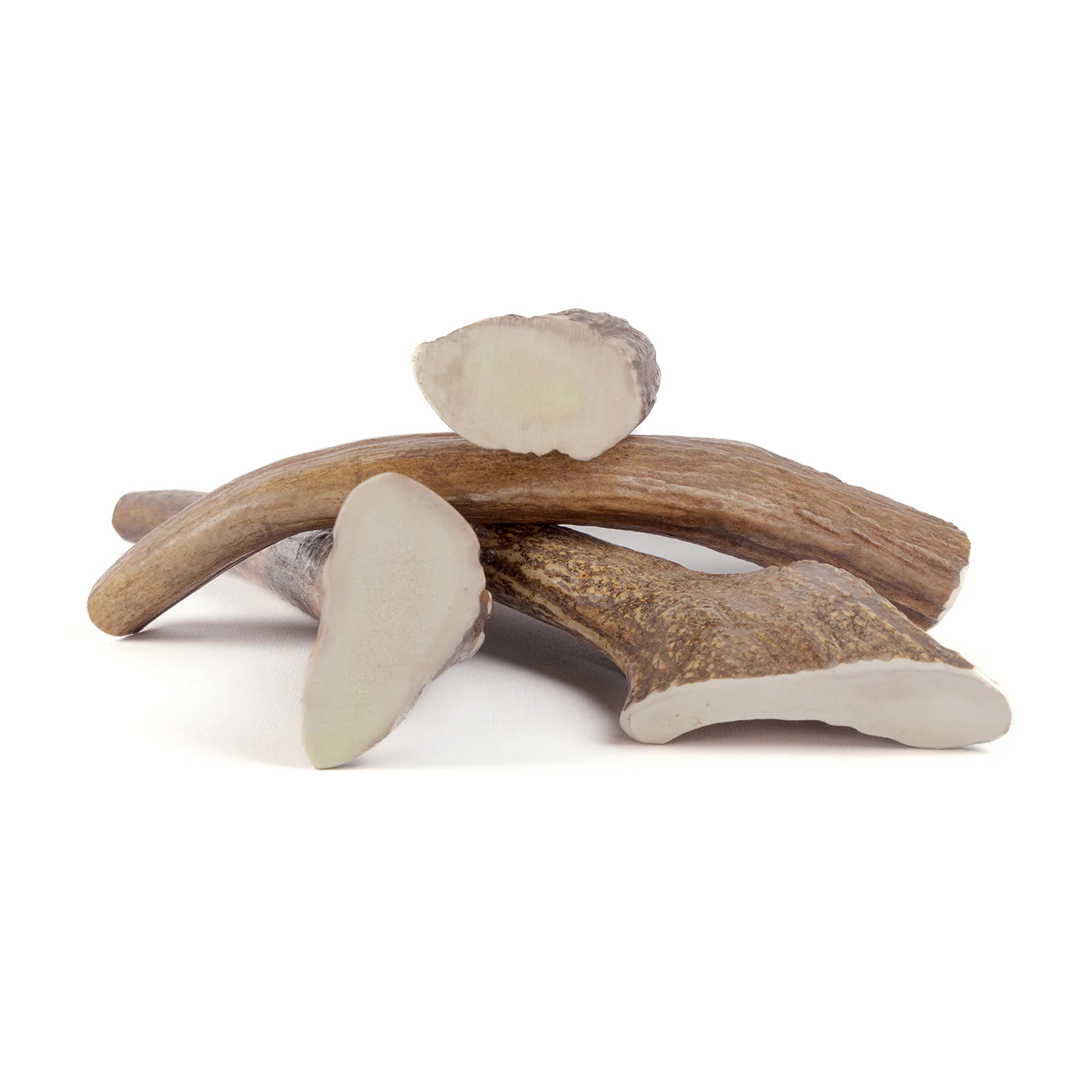 Moose Tine - Image 14