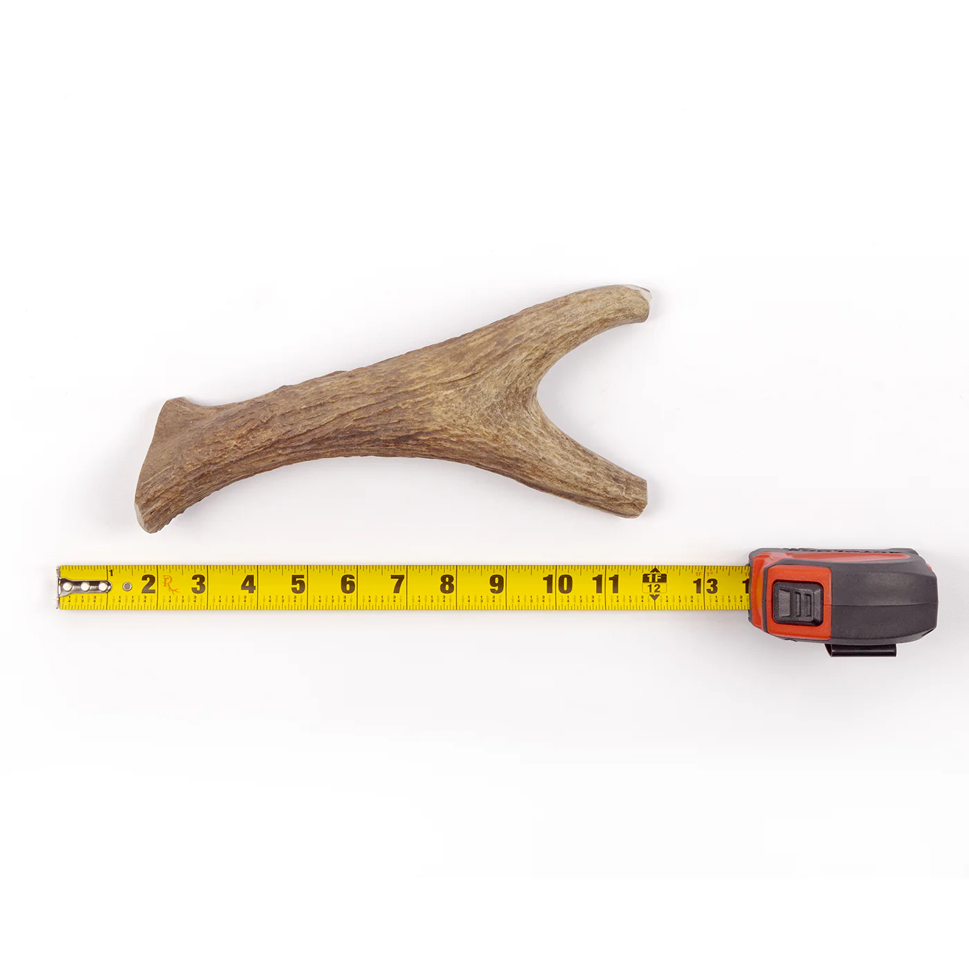 Moose Tine - Image 18