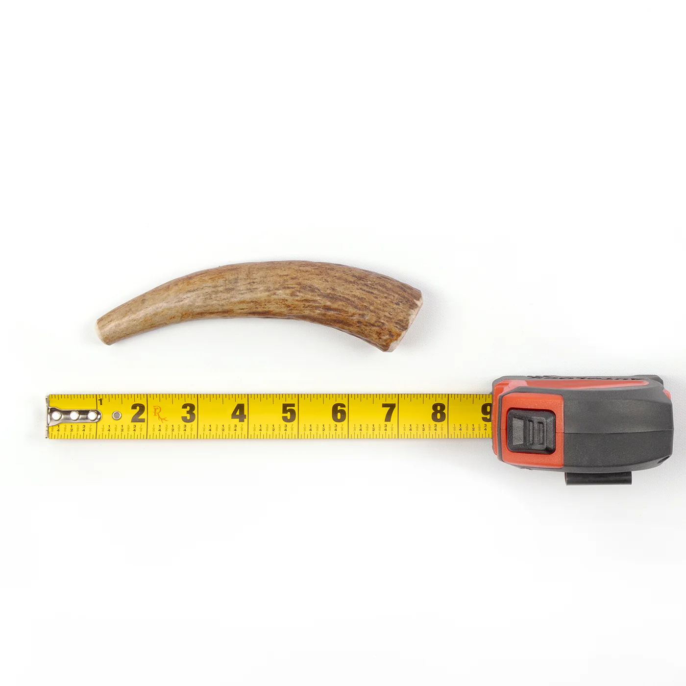 Moose Tine - Image 5