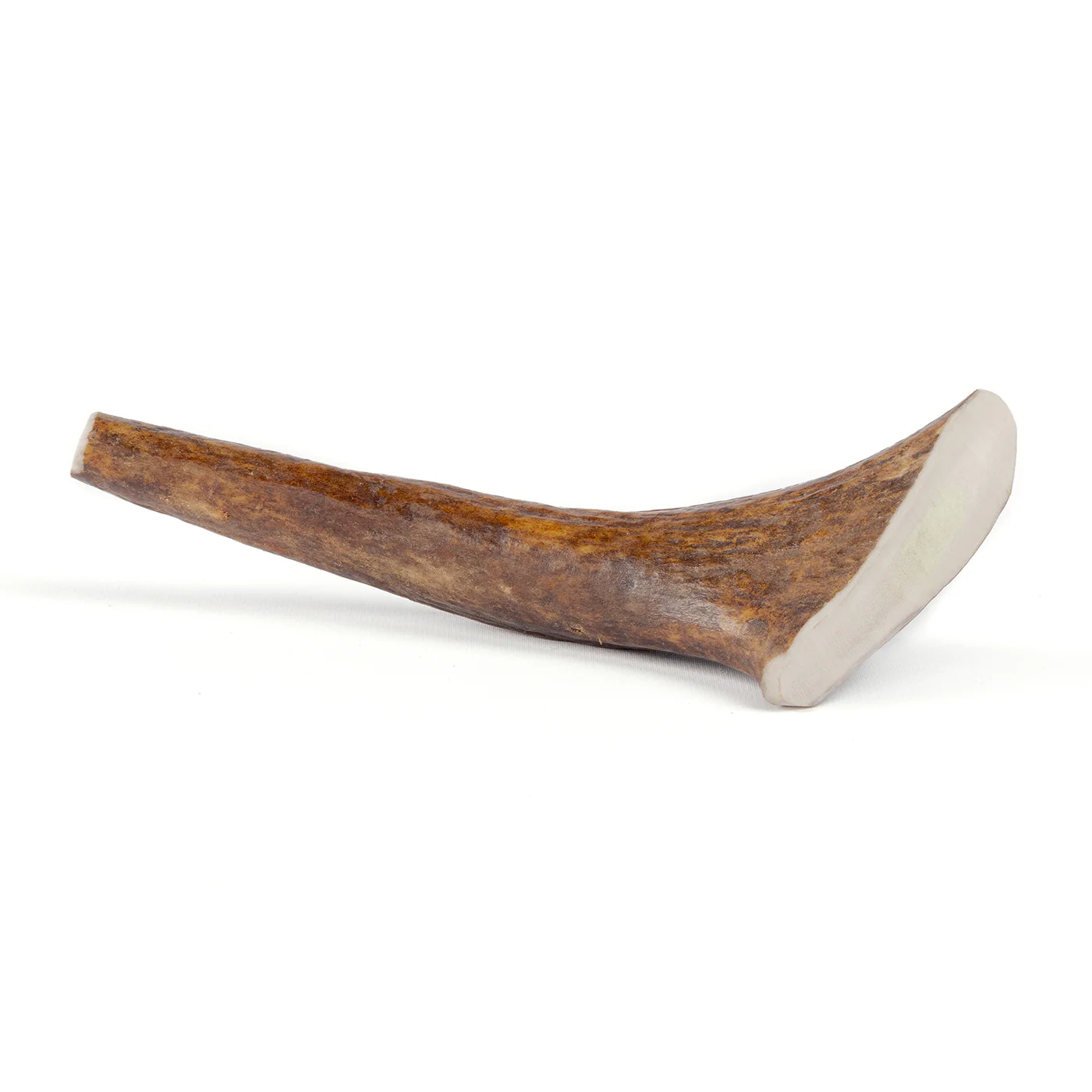 Moose Tine - Image 6