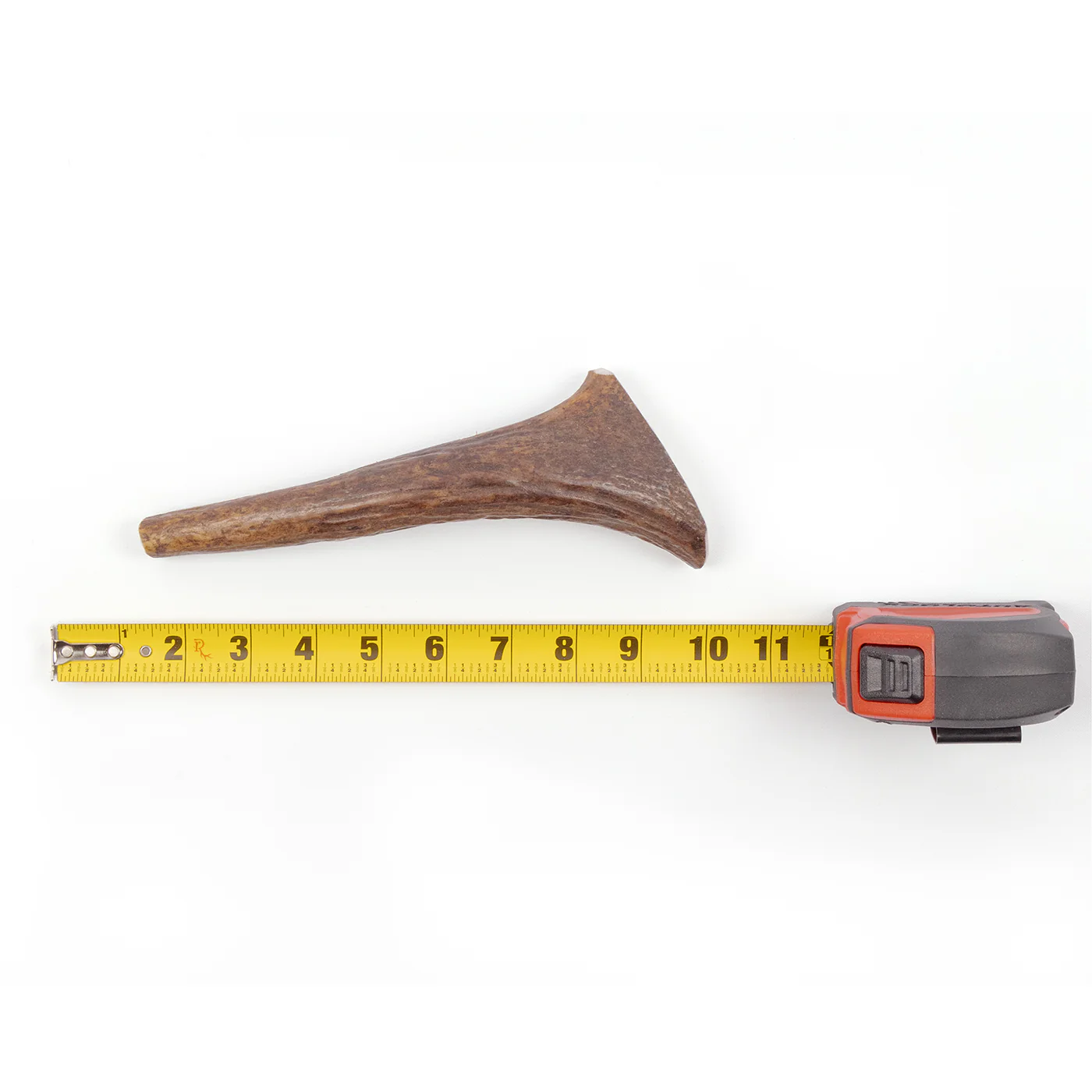 Moose Tine - Image 8