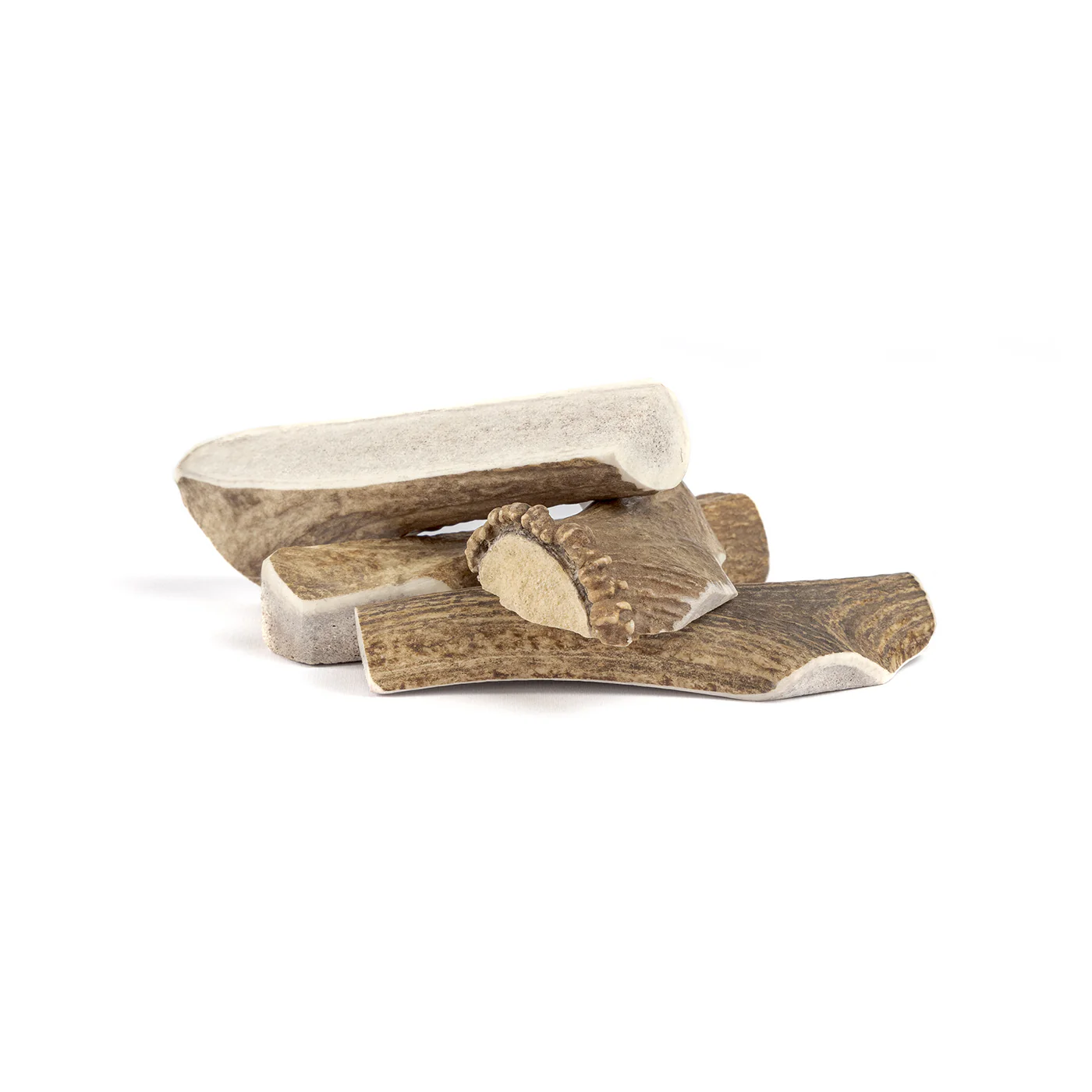 Split Elk Antler - Image 11