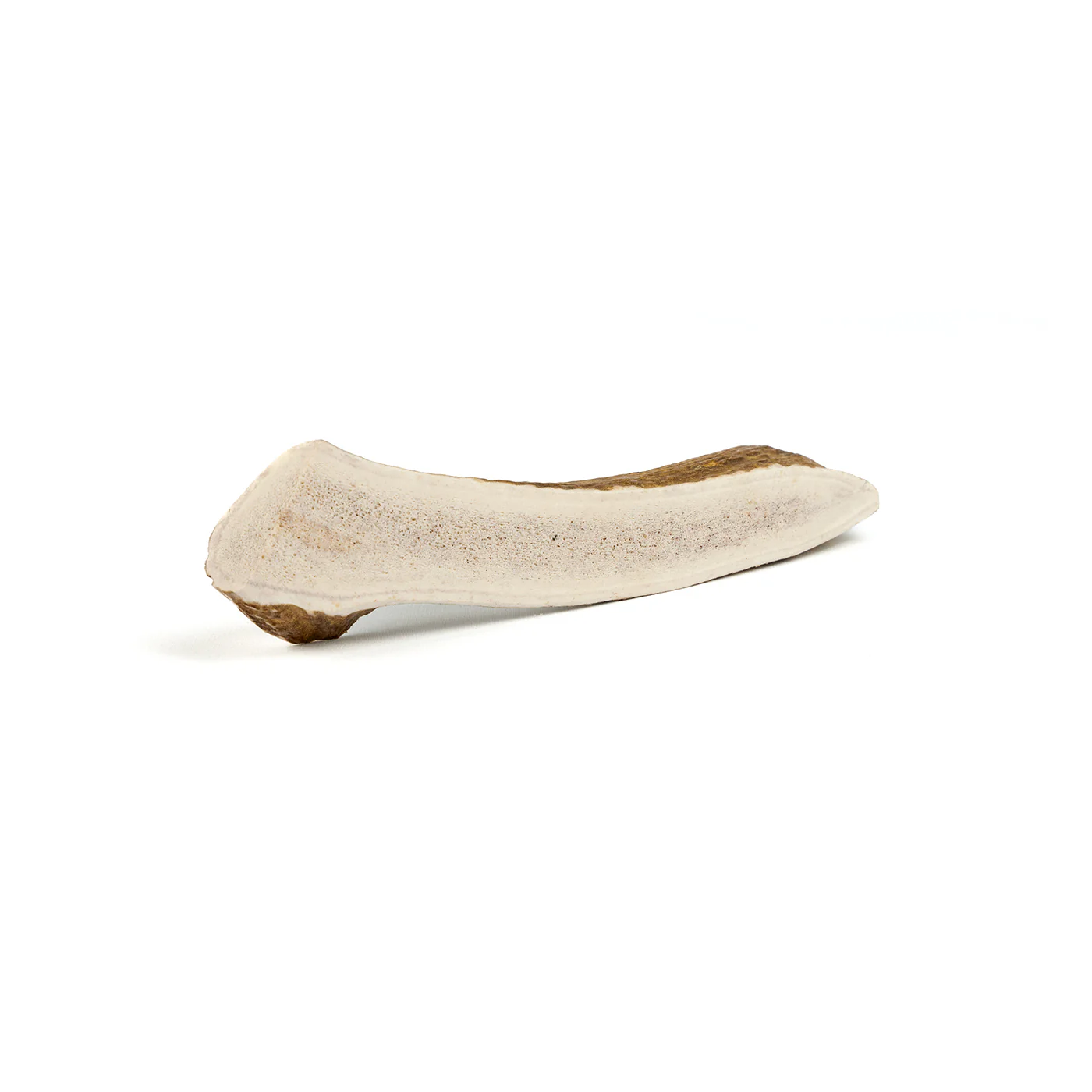 Split Elk Antler - Image 14