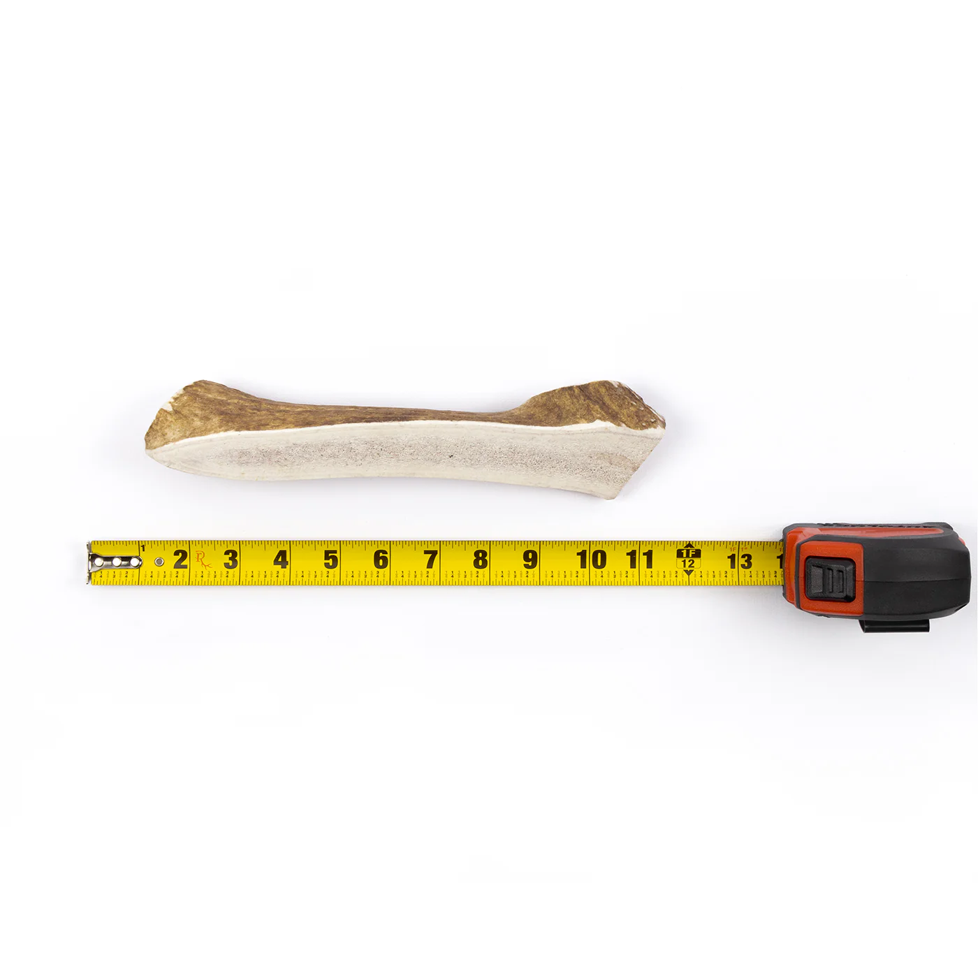 Split Elk Antler - Image 16