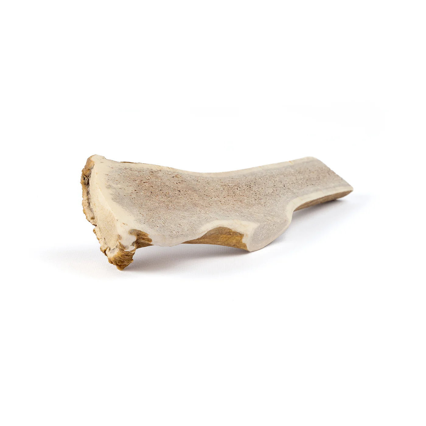 Split Elk Antler - Image 17