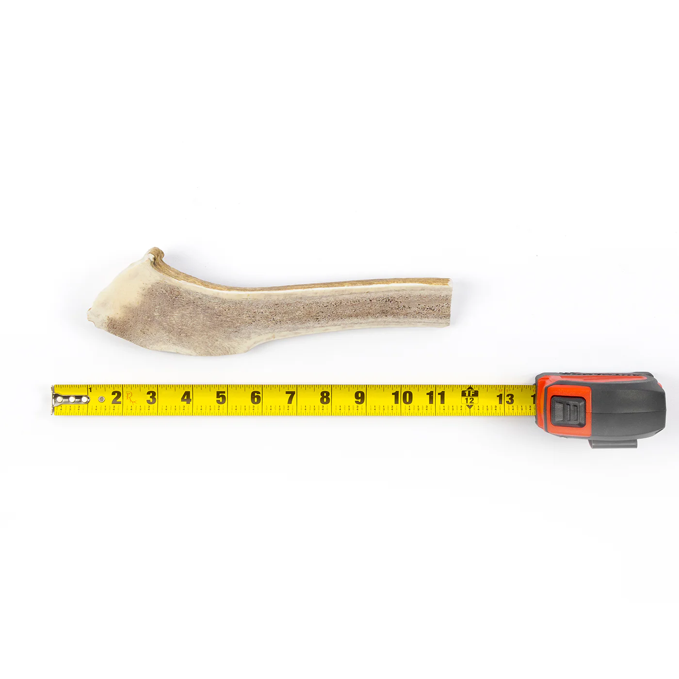 Split Elk Antler - Image 19
