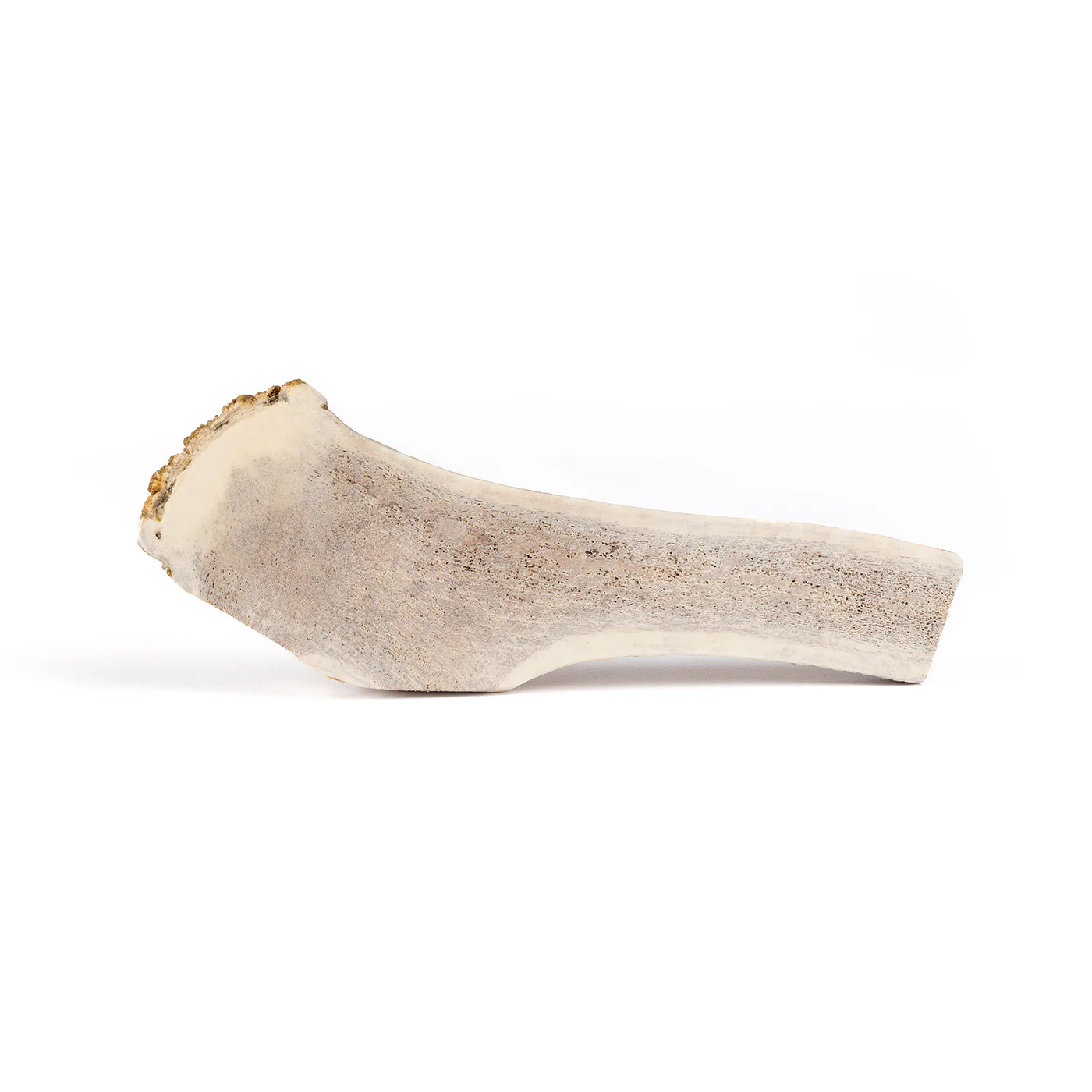 Split Elk Antler - Image 21