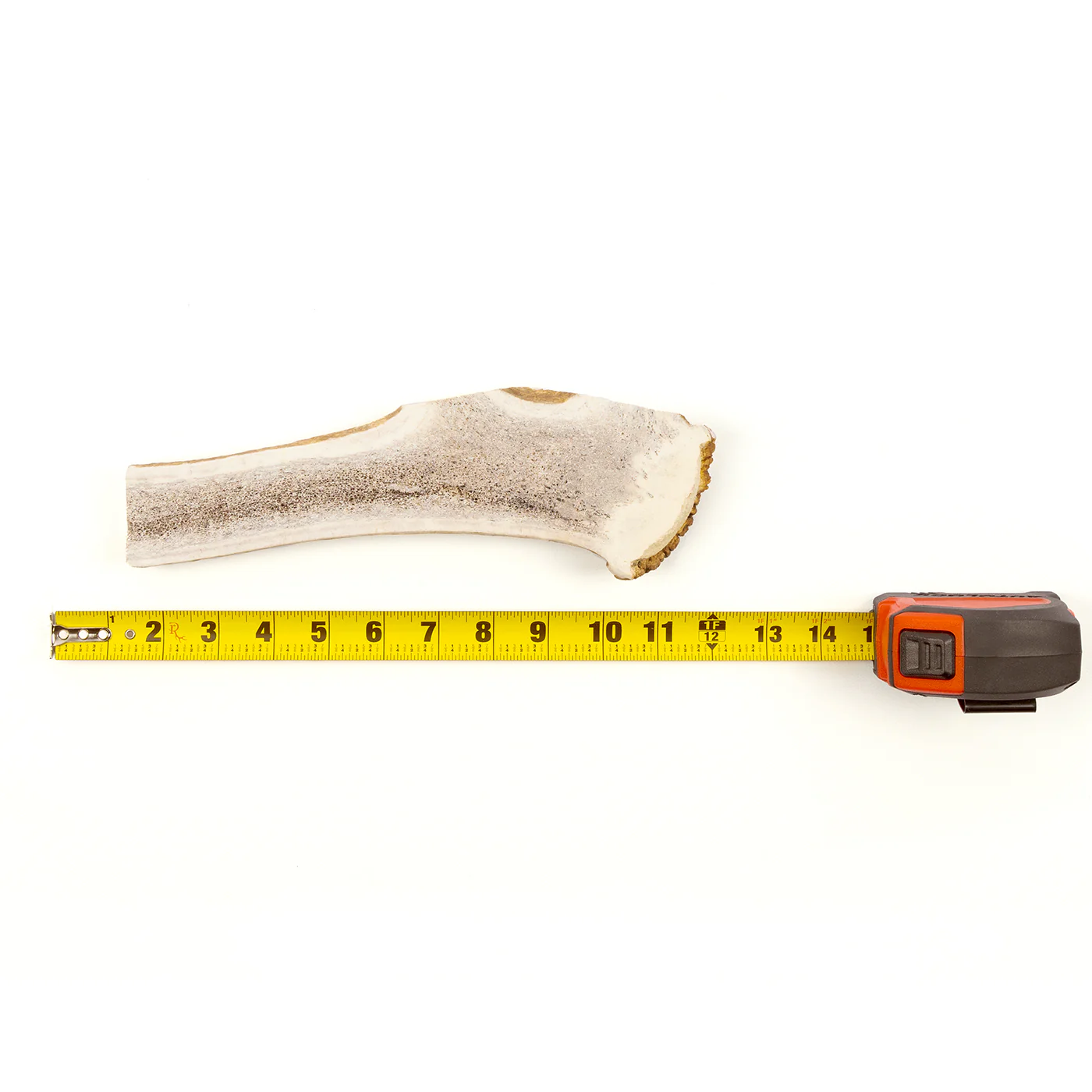 Split Elk Antler - Image 22