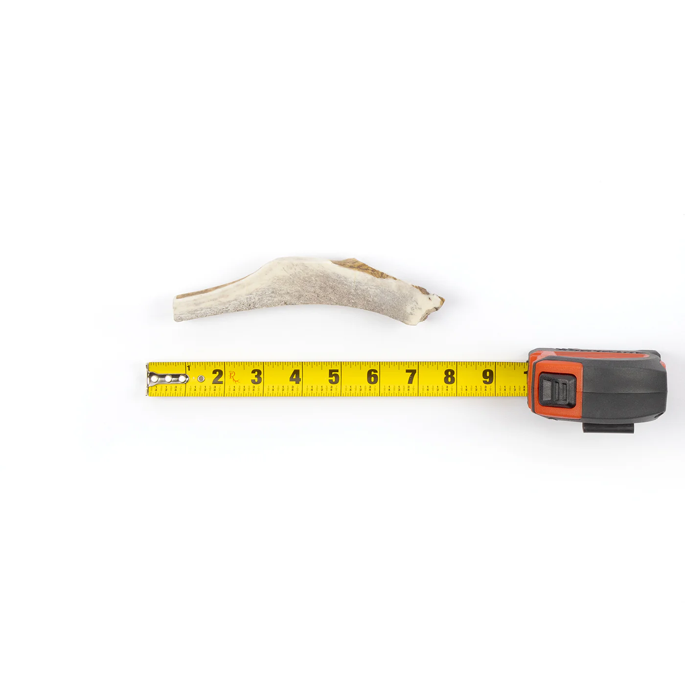 Split Elk Antler - Image 28