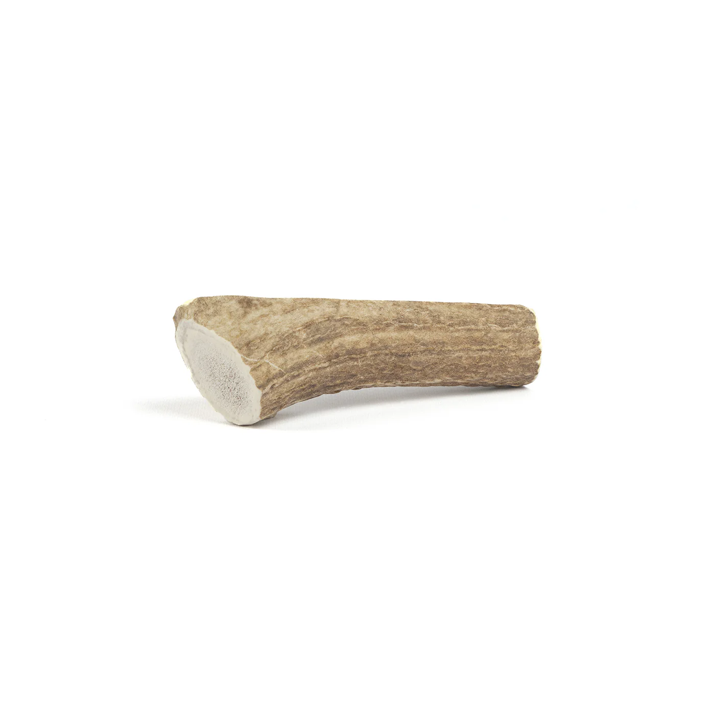 Split Elk Antler - Image 5