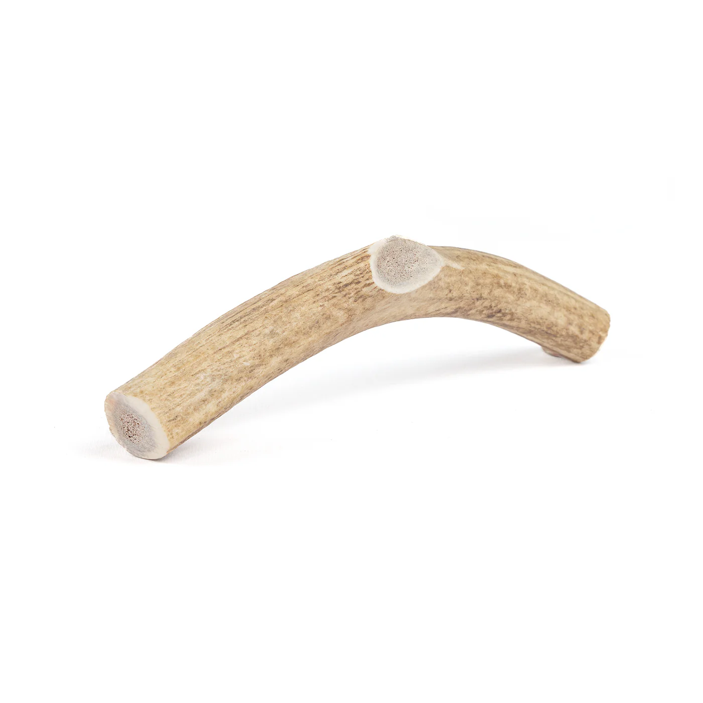 Whole Elk Antler - Image 10