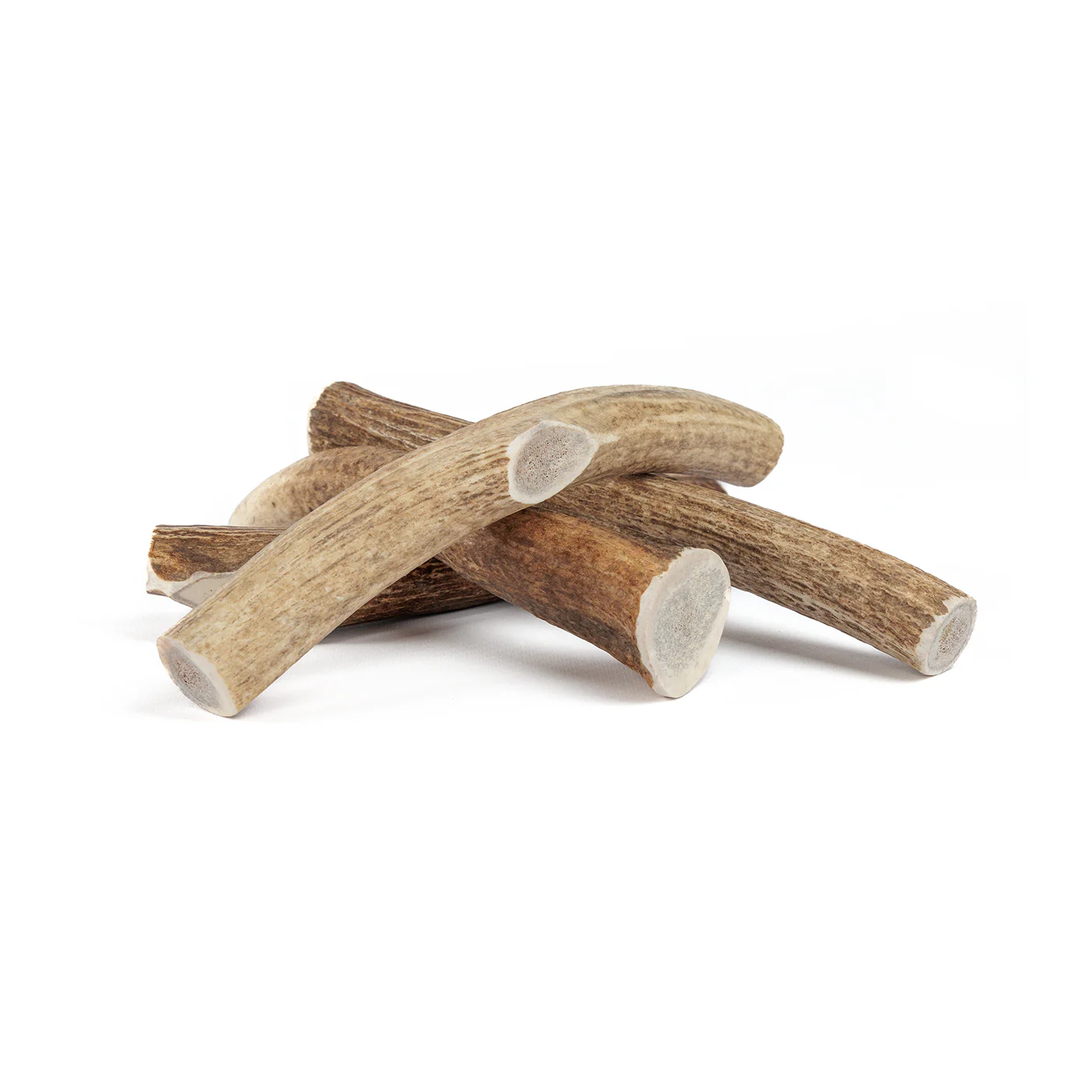 Whole Elk Antler - Image 11