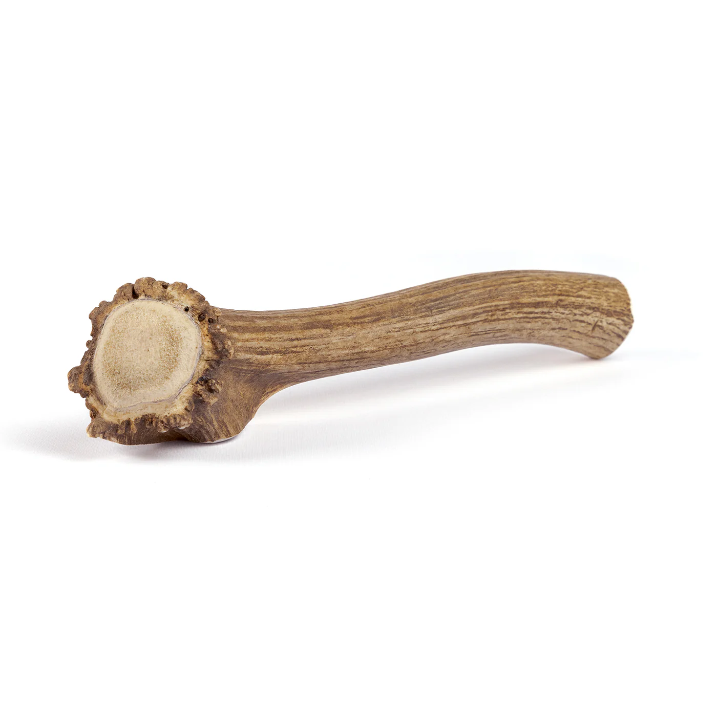 Whole Elk Antler - Image 13