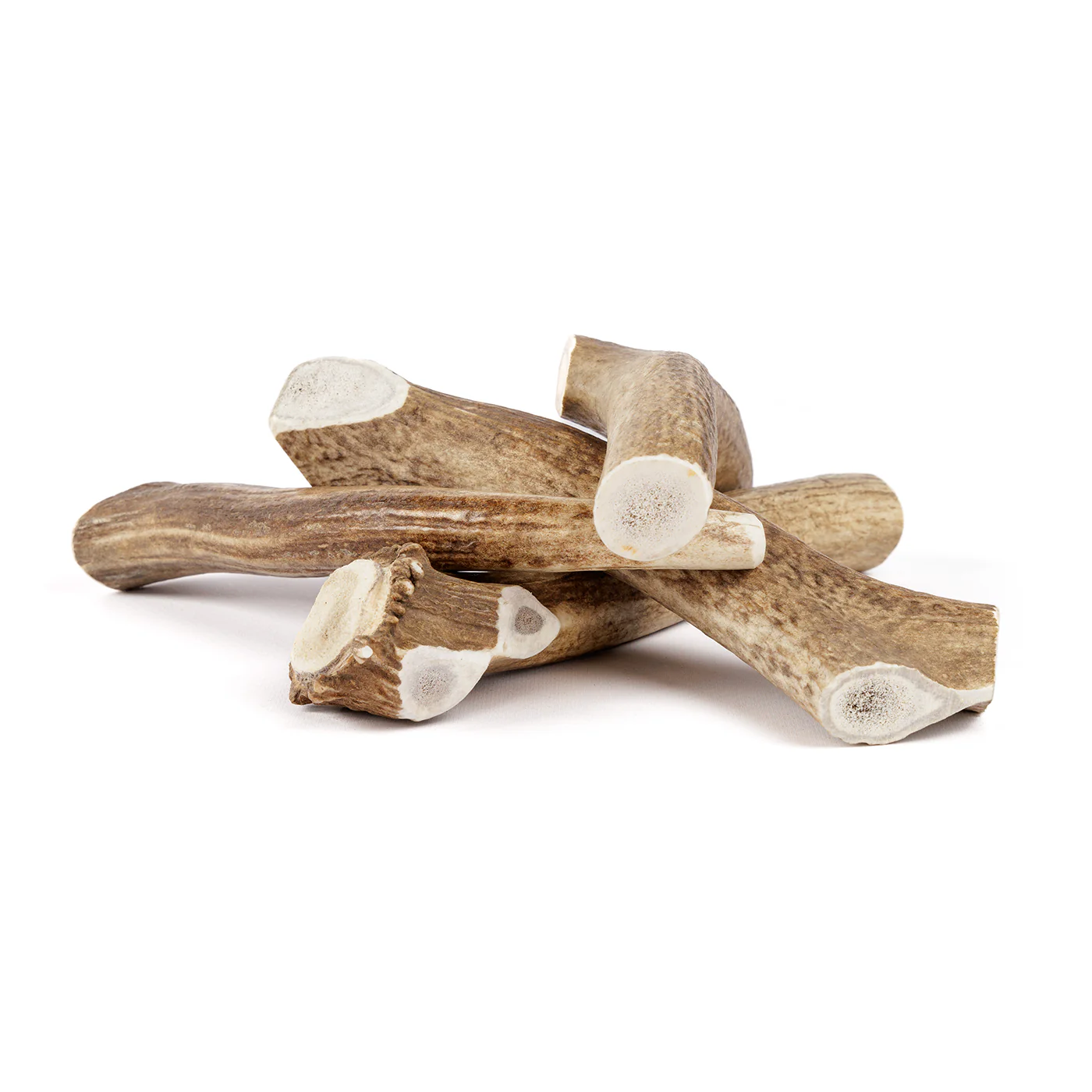 Whole Elk Antler - Image 14