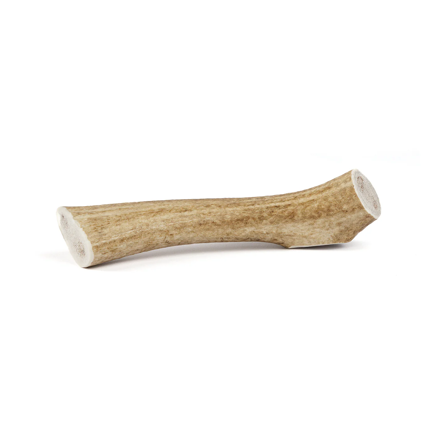 Whole Elk Antler - Image 16