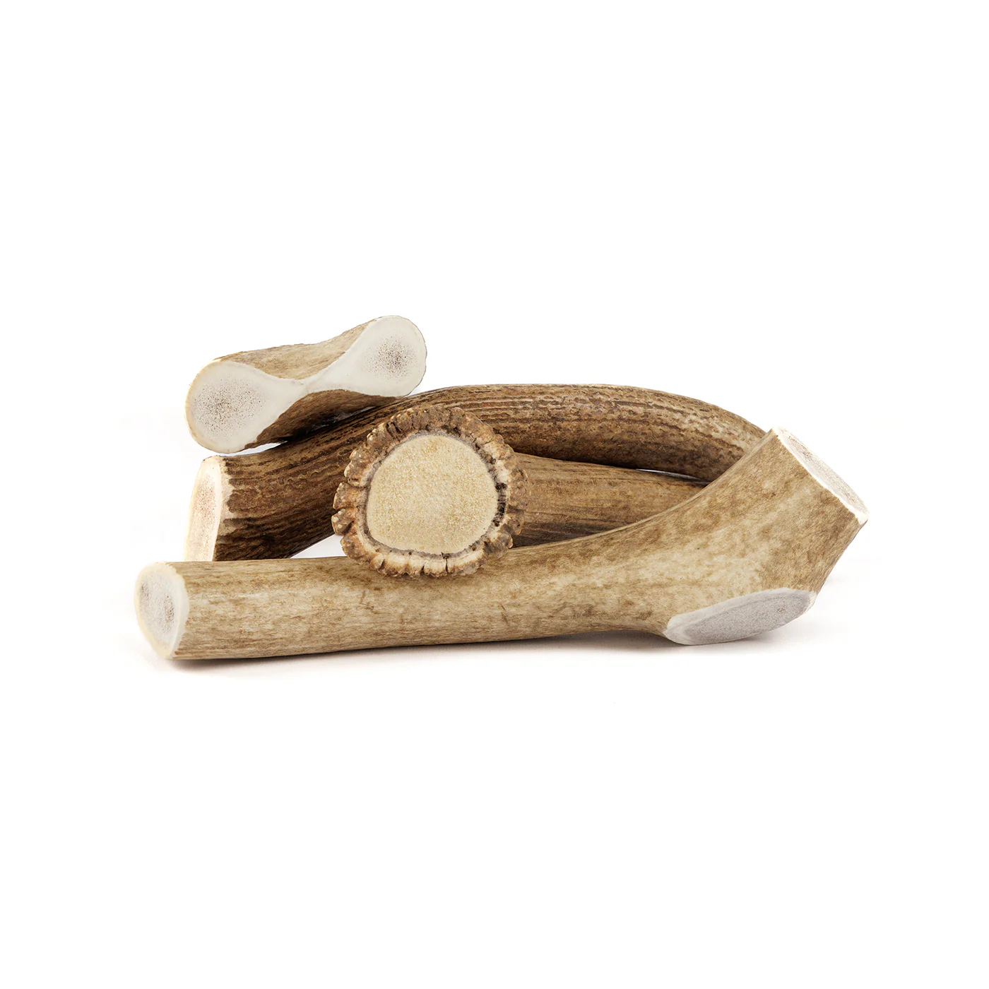 Whole Elk Antler - Image 17