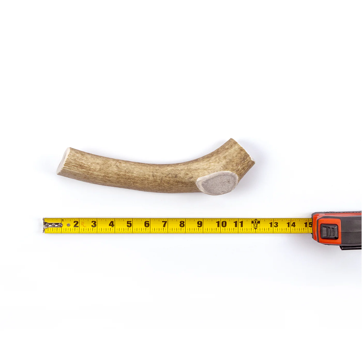 Whole Elk Antler - Image 18