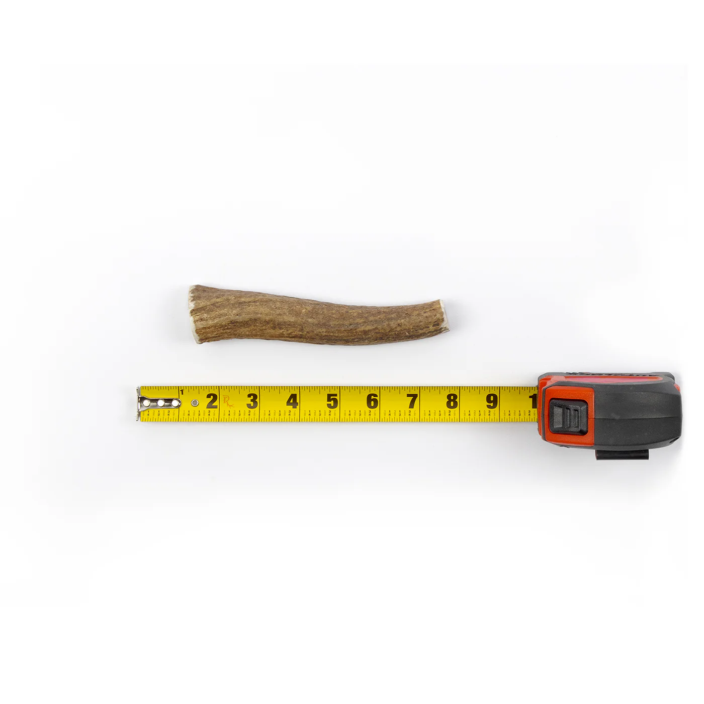 Whole Elk Antler - Image 19