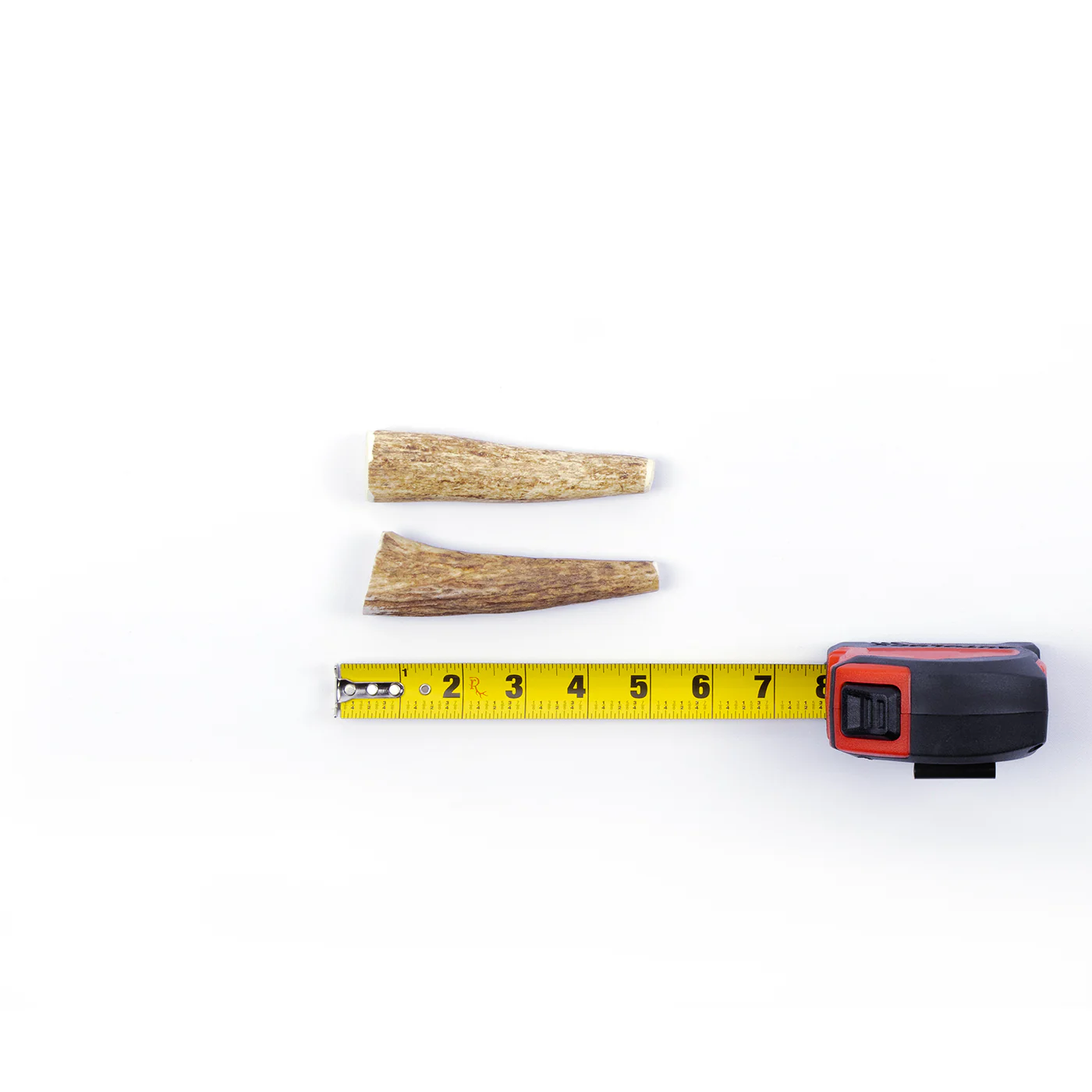 Whole Elk Antler - Image 3