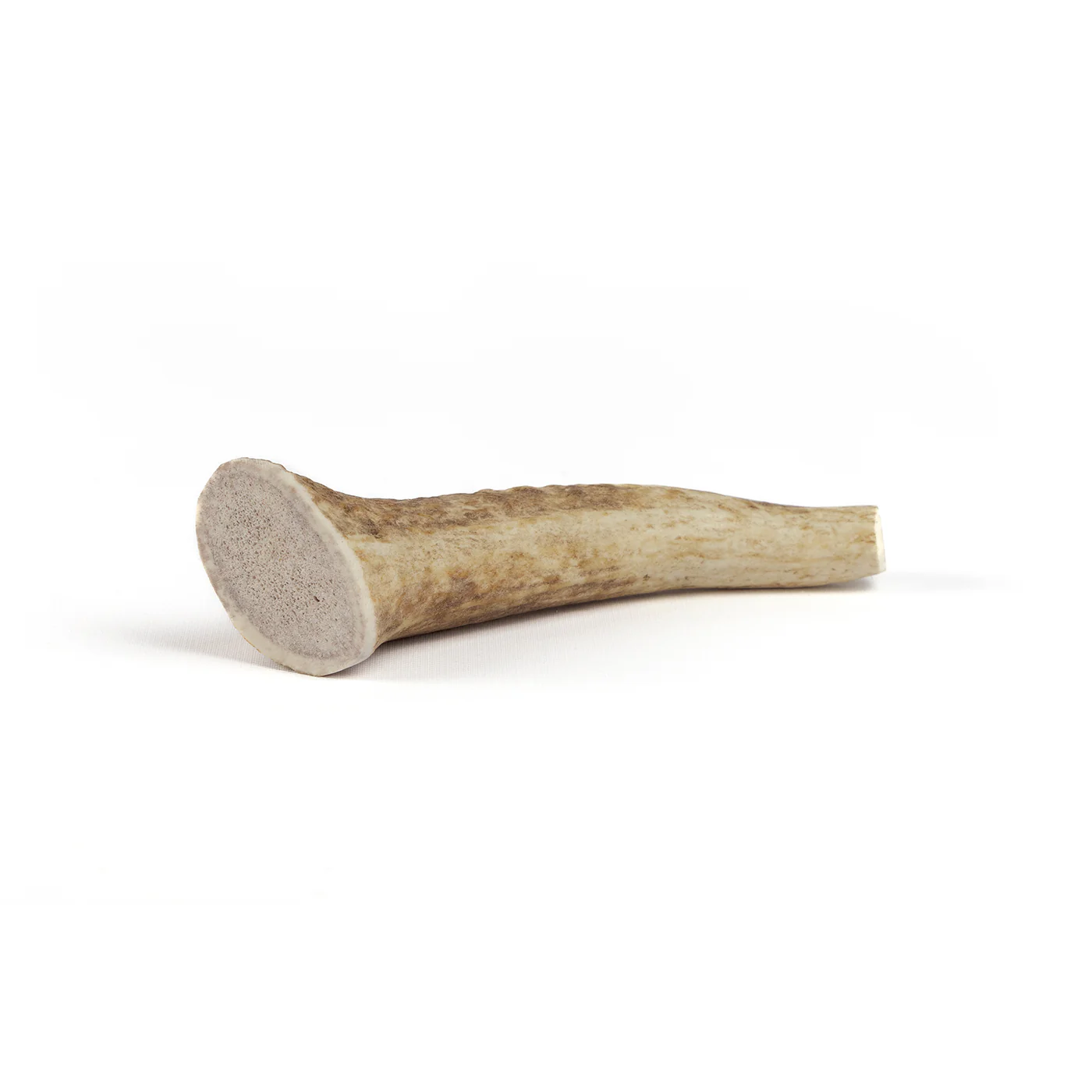 Whole Elk Antler - Image 4