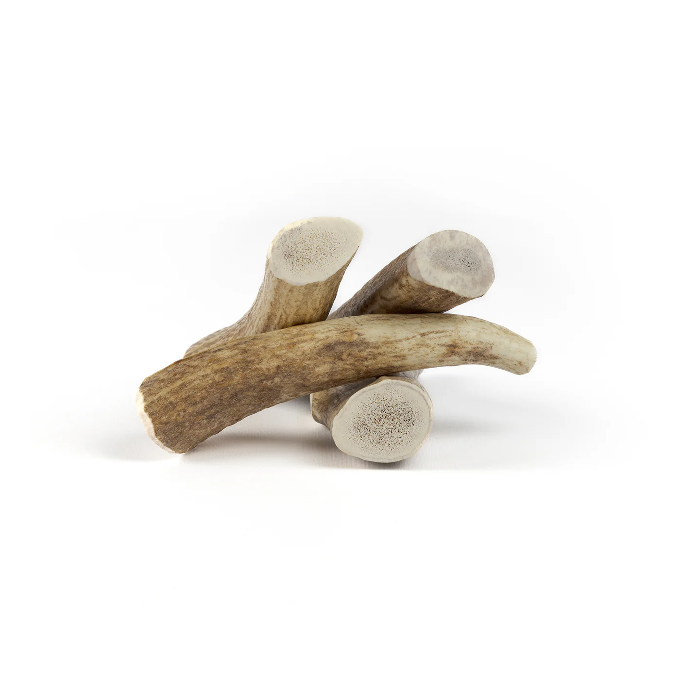 Whole Elk Antler - Image 5