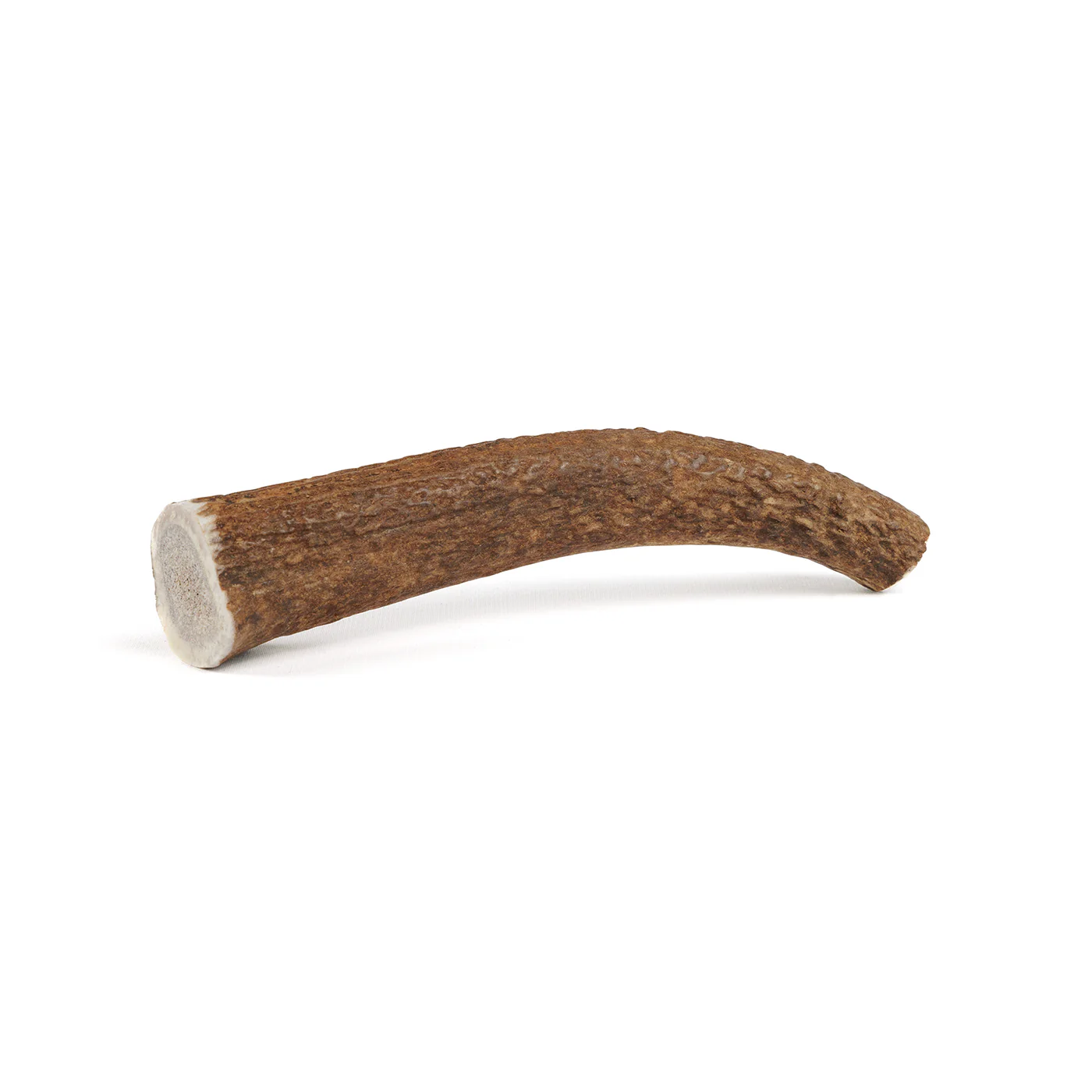 Whole Elk Antler - Image 7