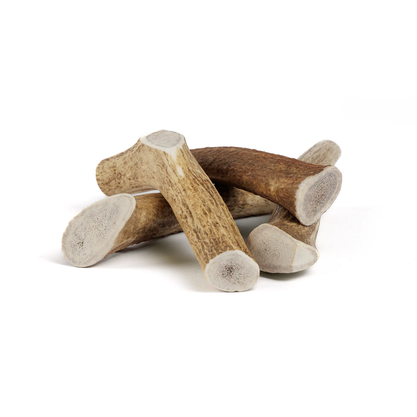 Whole Elk Antler - Image 8