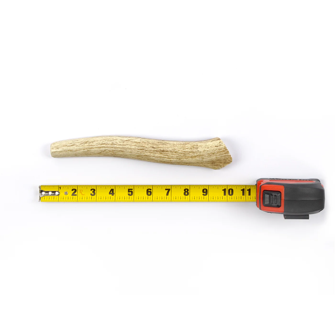 Whole Elk Antler - Image 9